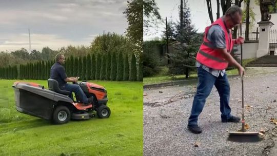 1000 zł - tyle można zarobić grabiąc liście. Warunek?