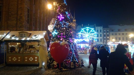 Ciekawa akcja Lasów Państwowych. Nazywa się "Choinka dla życia"