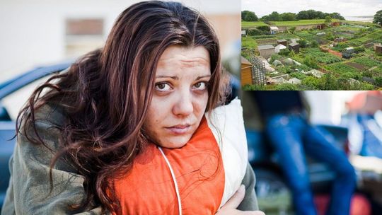 Coraz więcej ludzi decyduje się mieszkać na ogródkach działkowych. Tak nie można