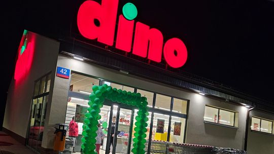 Dino wchodzi na rynek paliw. Rusza projekt „Dino Oil” – rekrutacja i nowe plany ekspansji Dino wchodzi na rynek paliw. Rusza projekt „Dino Oil” – rekrutacja i nowe plany ekspansji