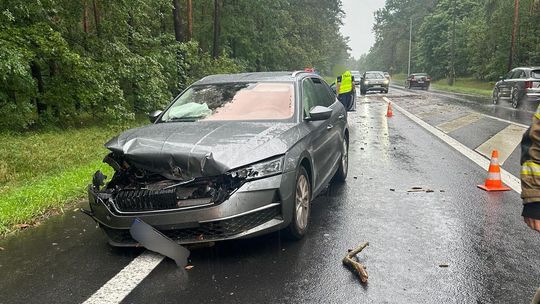 Drzewo spadło wprost na jadące auto