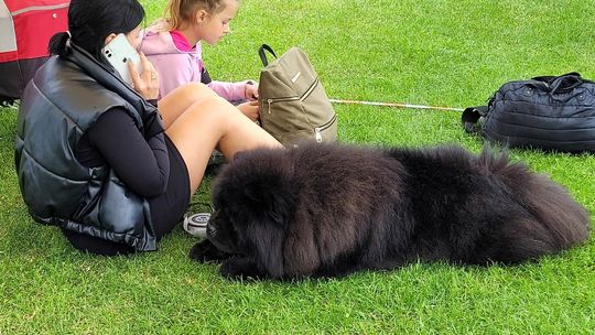 Gdy jest upał, to szczególnie pamiętajmy nie tylko o sobie, ale i o zwierzętach