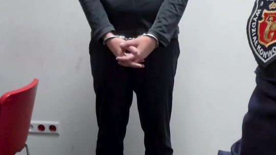 Ile kosztuje sprowadzenie do Polski podejrzanych? Spore kwoty