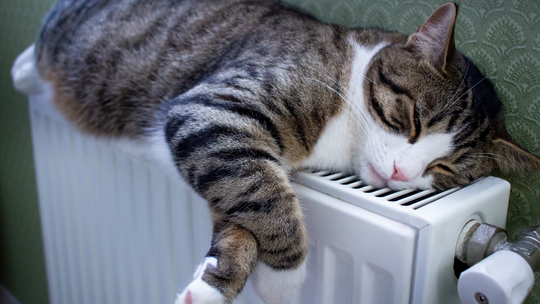 Od dziś można składać wnioski na bon ciepłowniczy