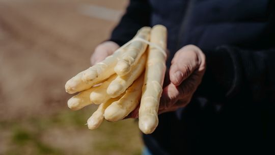 Już są w sklepach i na targach, ale cena zwala z nóg