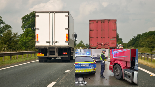 Na drogi wracają wyścigi słoni. Będzie to możliwe w określonych godzinach