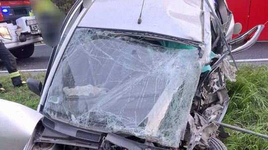 Nie była w stanie przeżyć uderzenia ciężarówki. Zasnęła za kółkiem, czy przeszkodził zwierzak?