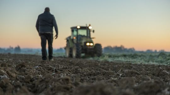 Rolnicy muszą się teraz bardziej pilnować? Nie tylko oni...