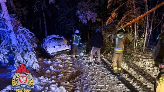 Pogodowa karuzela nad Polską. Nadchodzą mrozy, śnieżyce i gwałtowne ocieplenie