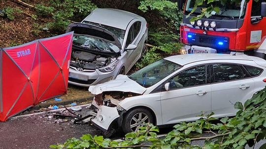 Turystyczna wyprawa zakończyła się tragedią. Czołowe zderzenie