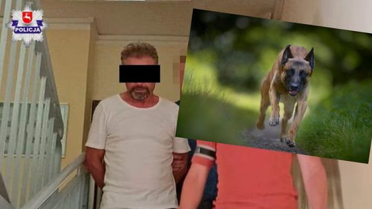 Jego owczarki belgijskie zagryzły rowerzystę. Wmawiał, że to nie jego psy