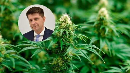 Będzie awantura w Sejmie? Chodzi o posiadania marihuany