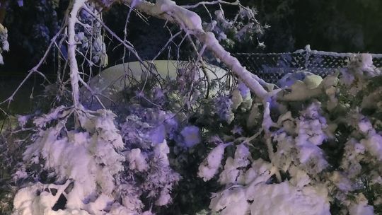 Taka pogoda to konkretne straty