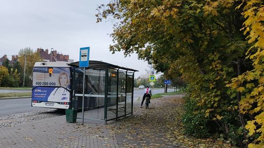 Toruńskie MZK znów na podium. Jesteśmy w czołówce polskich miast!