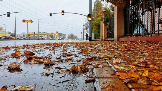 Zbliża się Wszystkich Świętych. Apelujemy o ostrożną jazdę