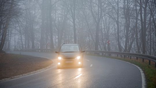 Jeden z kolorów tablic zniknie już na zawsze. Ale nie od razu