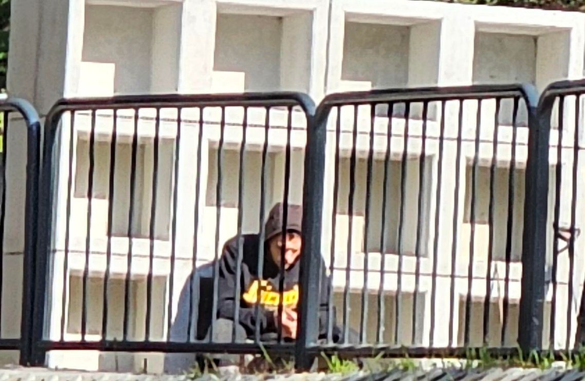 Cmentarz to przeżytek? Rewolucyjne zmiany w prawie pogrzebowym na horyzoncie