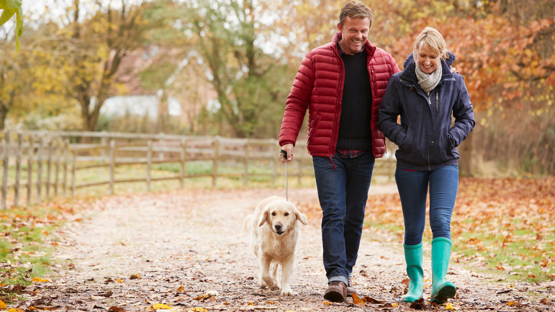 Trwa długi weekend. Jeszcze dużo wolnego w grudniu