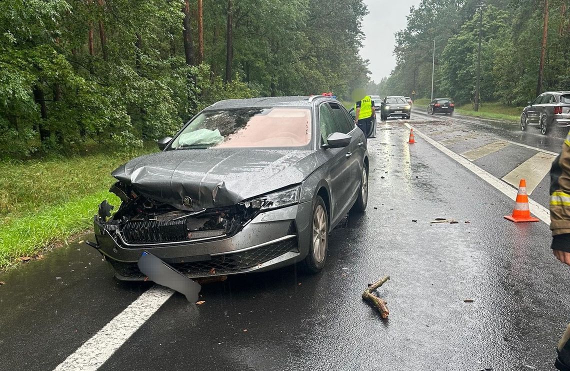 Drzewo spadło wprost na jadące auto