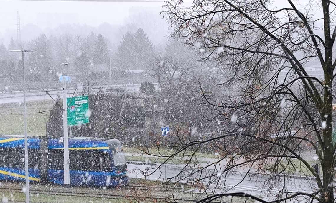 Ferie zimowe minęły, ale zima pozostała...