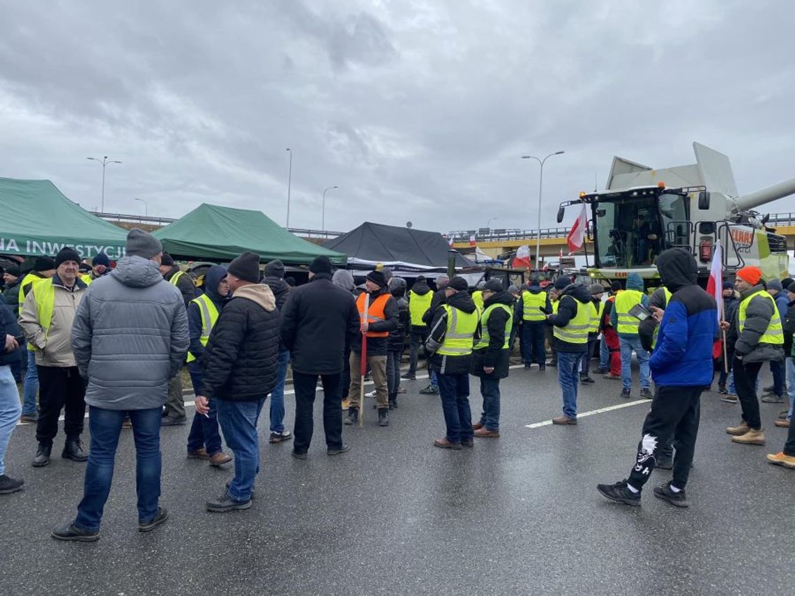 Ile żywności tak naprawdę sprowadzamy z Ukrainy?