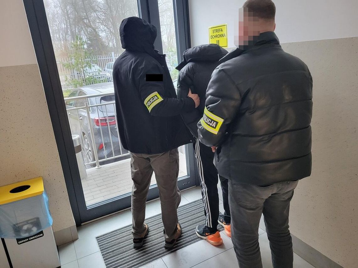 Ledwo wkroczył w dorosłość, może trafić za kratki na dekadę. Ledwo wkroczył w dorosłość, może trafić za kratki na dekadę.