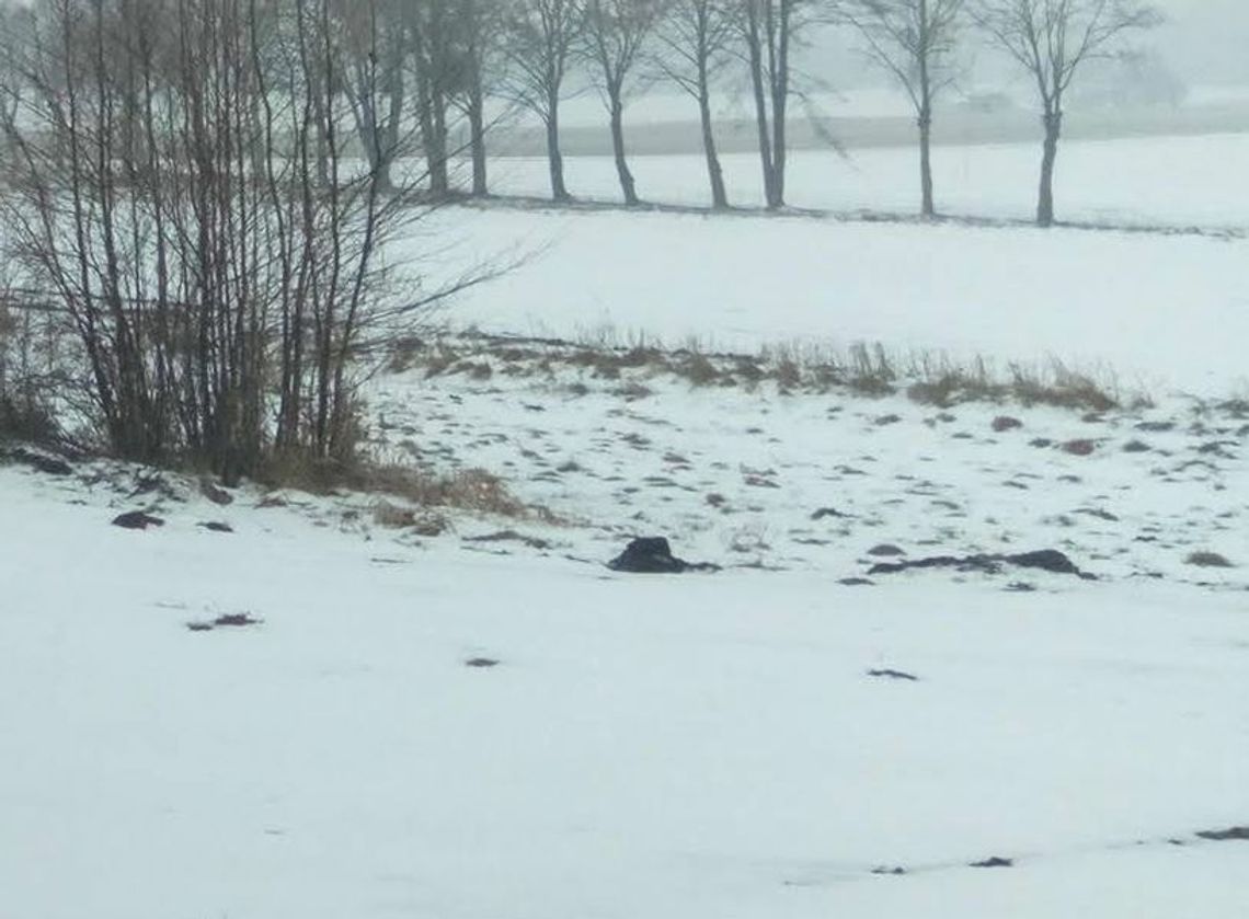 "Na luty, załóż ciepłe buty" - o przysłowiach naszych babć słów kilka