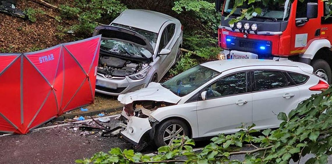 Turystyczna wyprawa zakończyła się tragedią. Czołowe zderzenie