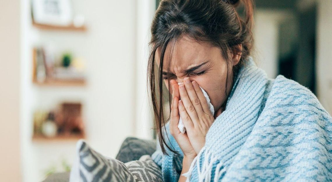 Polska specjalność. Chomikowanie L4 na grudzień. Jest powód Polska specjalność. Chomikowanie L4 na grudzień. Jest powód