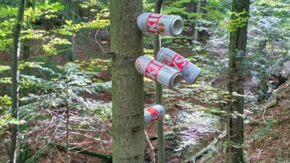 W lesie zostawiają po sobie „pamiątki”. Powinni za to zapłacić? W lesie zostawiają po sobie „pamiątki”. Powinni za to zapłacić?