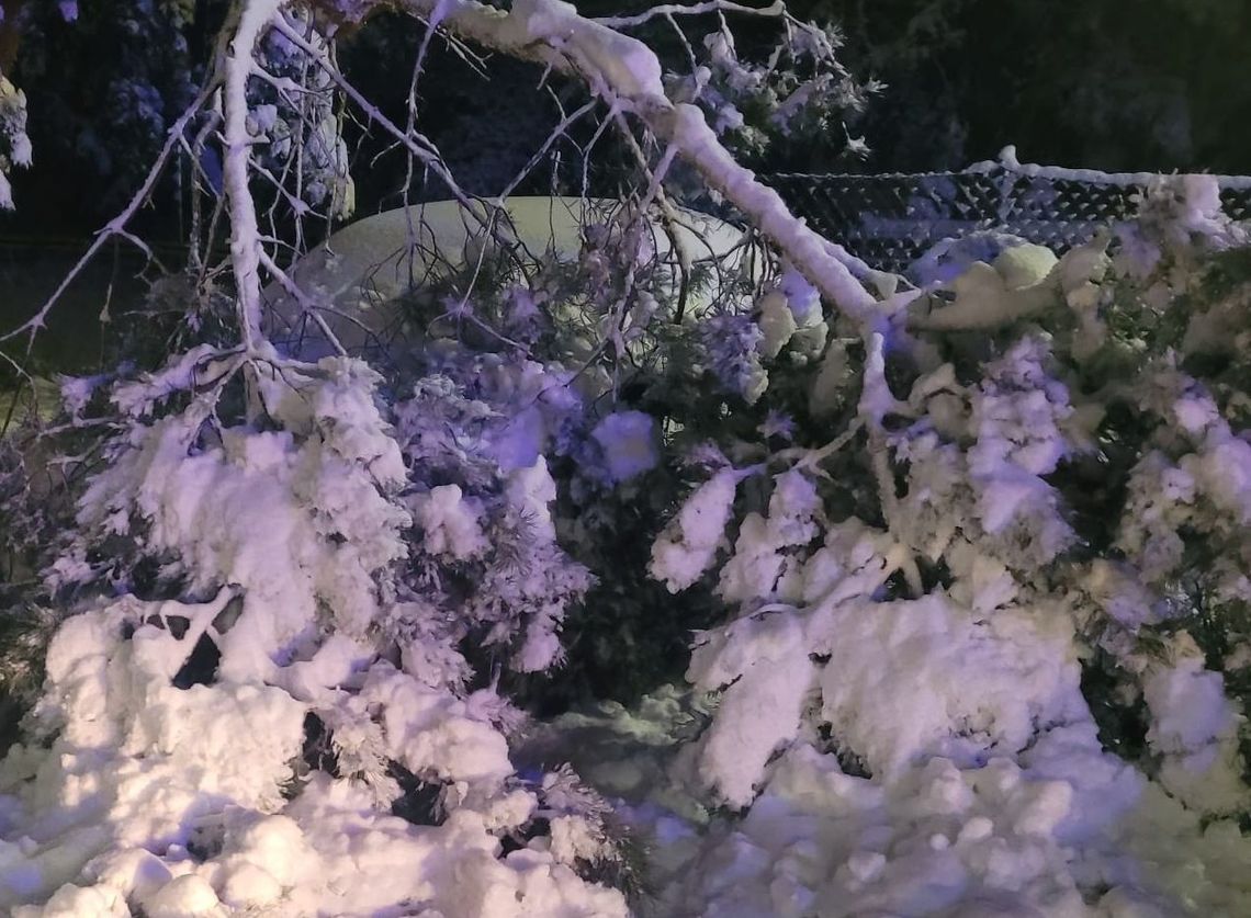 Taka pogoda to konkretne straty