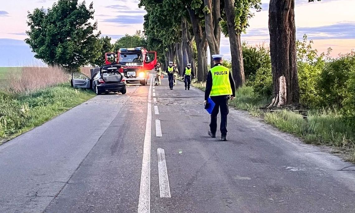 Szaleńcza jazda nastolatków skończyła się źle. Co mogło być przyczyną?