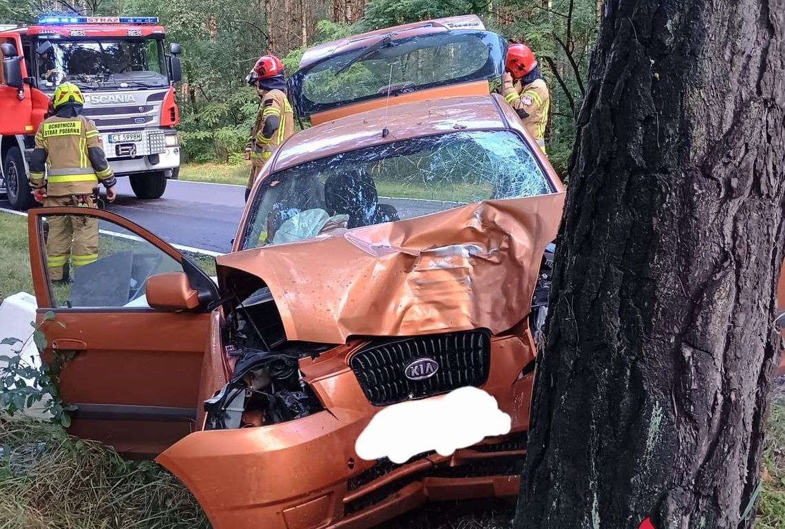 Uderzyła w drzewo. Karetka odwiozła ją do szpitala