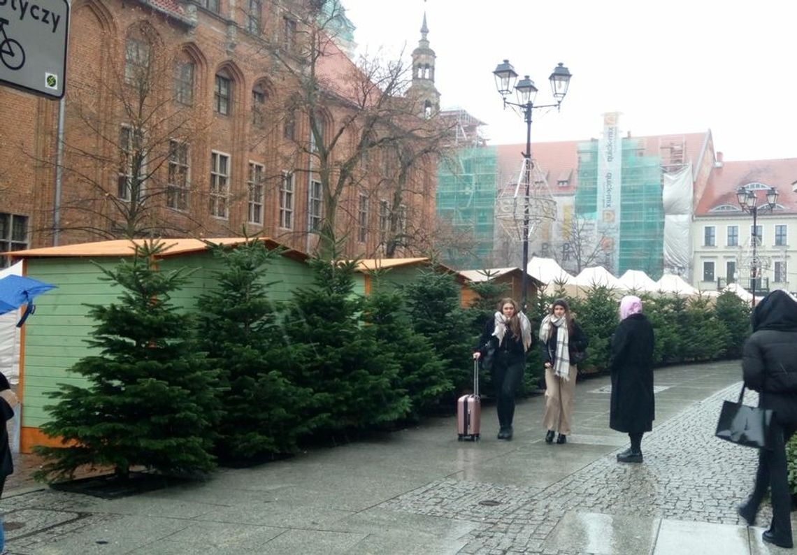 Wzdłuż budek stoją już świeżo ścięte "choinki". Niebawem ruszy jarmark